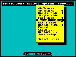 Screen from Format Utility