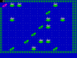 Screen from Frogs