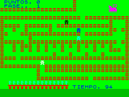 Screen from Garden