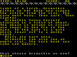 Screen from Grimalkin 128K