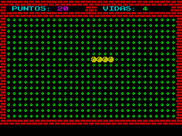 Screen from Gusano