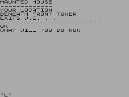 Screen from Haunted House