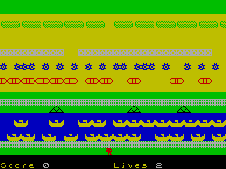 Screen from Hedgehog Run