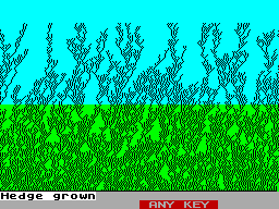 Screen from Hedges