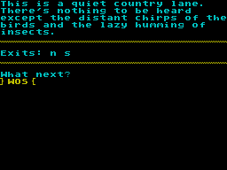 Screen from A Hero for Sorania