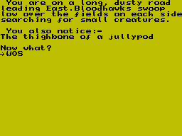 Screen from The Horrors of Blackskull Mountains