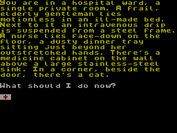 Screen from The Hospital