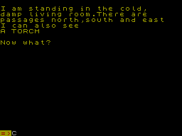 Screen from The House of Shadows