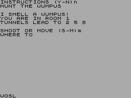 Screen from Hunt the Wumpus