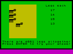 Screen from Insects