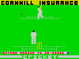 Screen from International Cricket