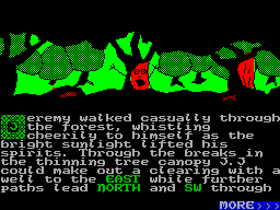 Screen from Jester Quest