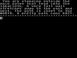 Screen from Labarinth
