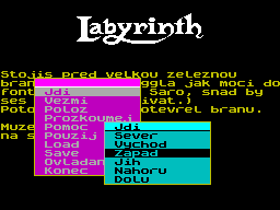 Screen from Labyrinth