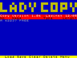 Screen from Lady Copy