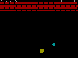 Screen from Leaky Roof