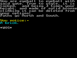 Screen from The Legacy