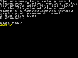 Screen from The Limehouse Mystery + Survivor