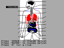 Screen from The Living Body
