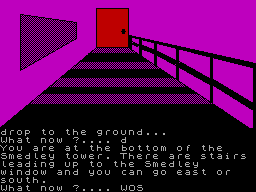 Screen from The Loony Castle Quest