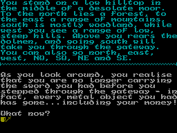 Screen from The Lost Children