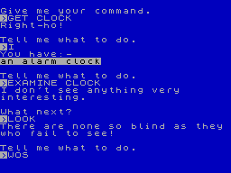 Screen from Madcap Manor