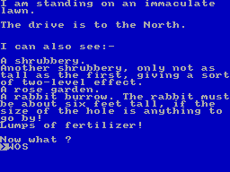 Screen from Malice in Wonderland