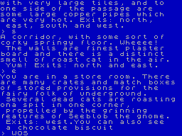 Screen from Manic Badger