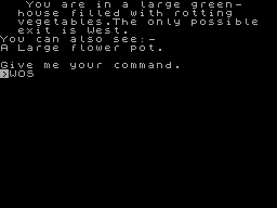 Screen from Manor of Doom