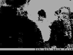 Screen from Meeting
