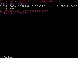Screen from Mini Bank Raid