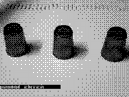 Screen from Money