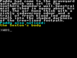 Screen from Murder Hunt