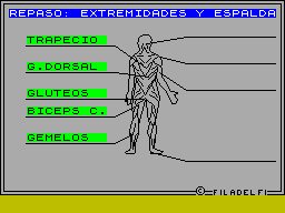 Screen from Musculos