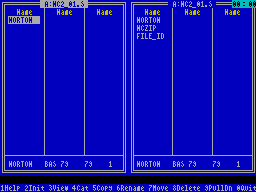 Screen from Norton Commander