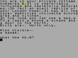Screen from Number 6 in the Village [1]
