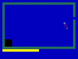 Screen from Paralympic Obstacle Kayaking