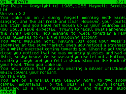 Screen from The Pawn