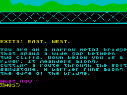 Screen from Pawns of War