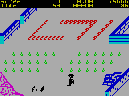 Screen from Pedro