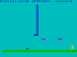 Screen from Piknik
