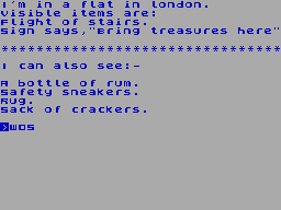 Screen from Pirate Adventure