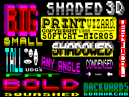 Screen from Print Wizard