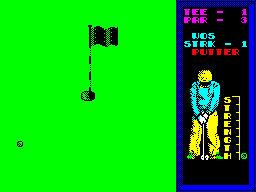 Screen from Pro Golf Simulator