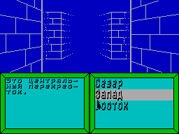 Screen from Psychiatric Hospital 2000