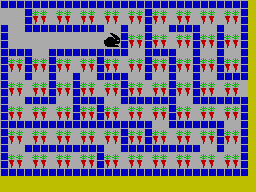Screen from Rabbit