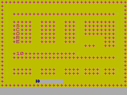 Screen from Race Track