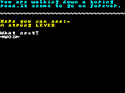 Screen from Radiomania