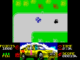 Screen from Rallycross Simulator