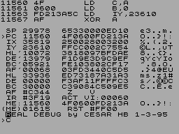 Screen from Real Debug